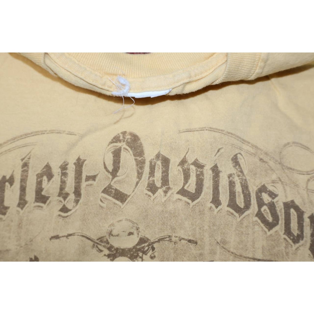 Vintage Harley-Davidson T-Shirt Lot of 20