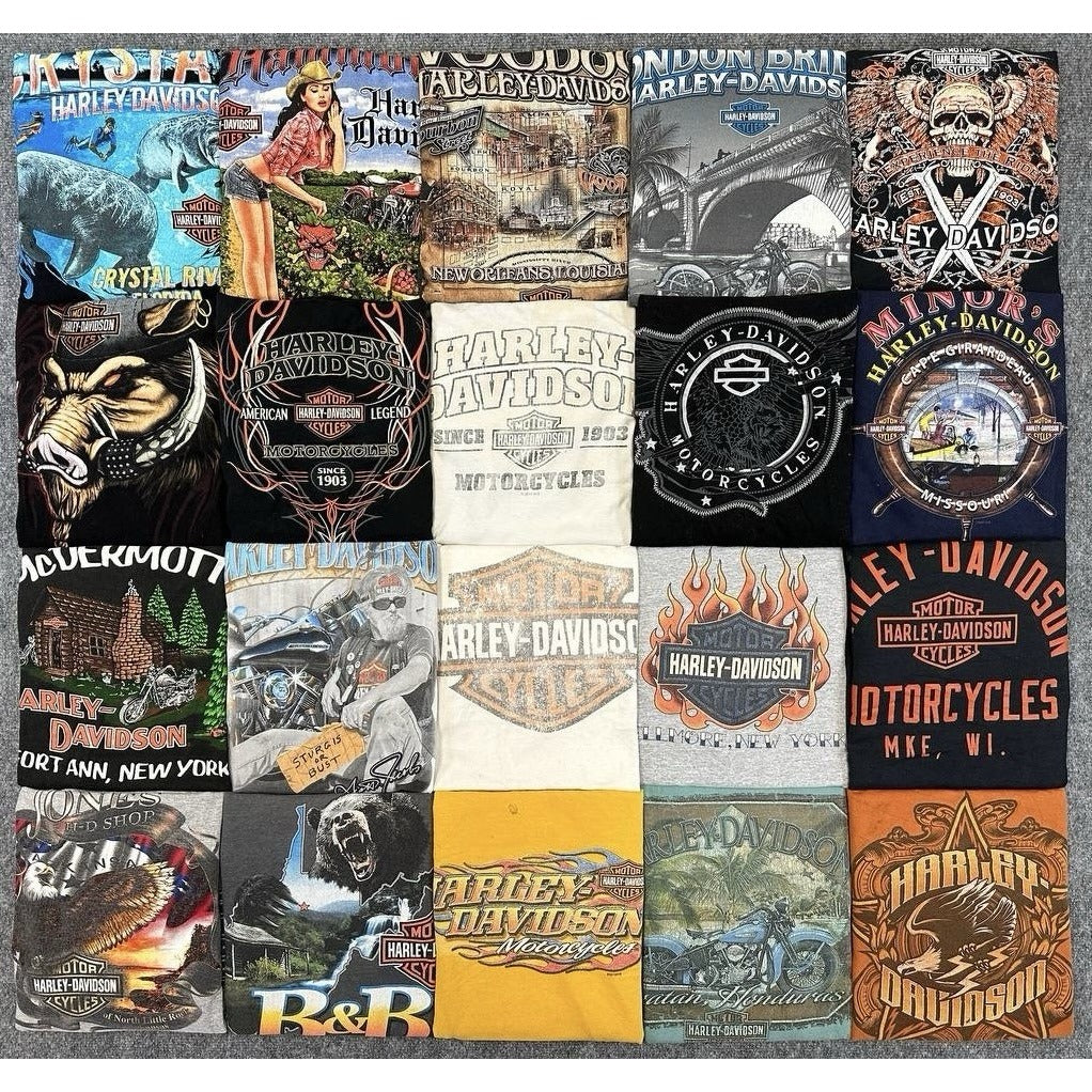 Harley Davidson Distressed or Big Sizes Lot