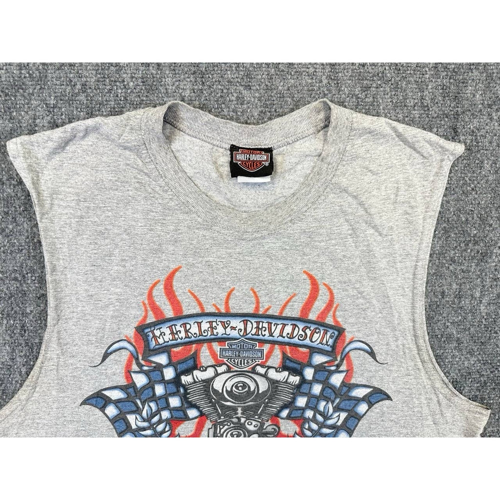 Harley Davidson Distressed or Big Sizes Lot